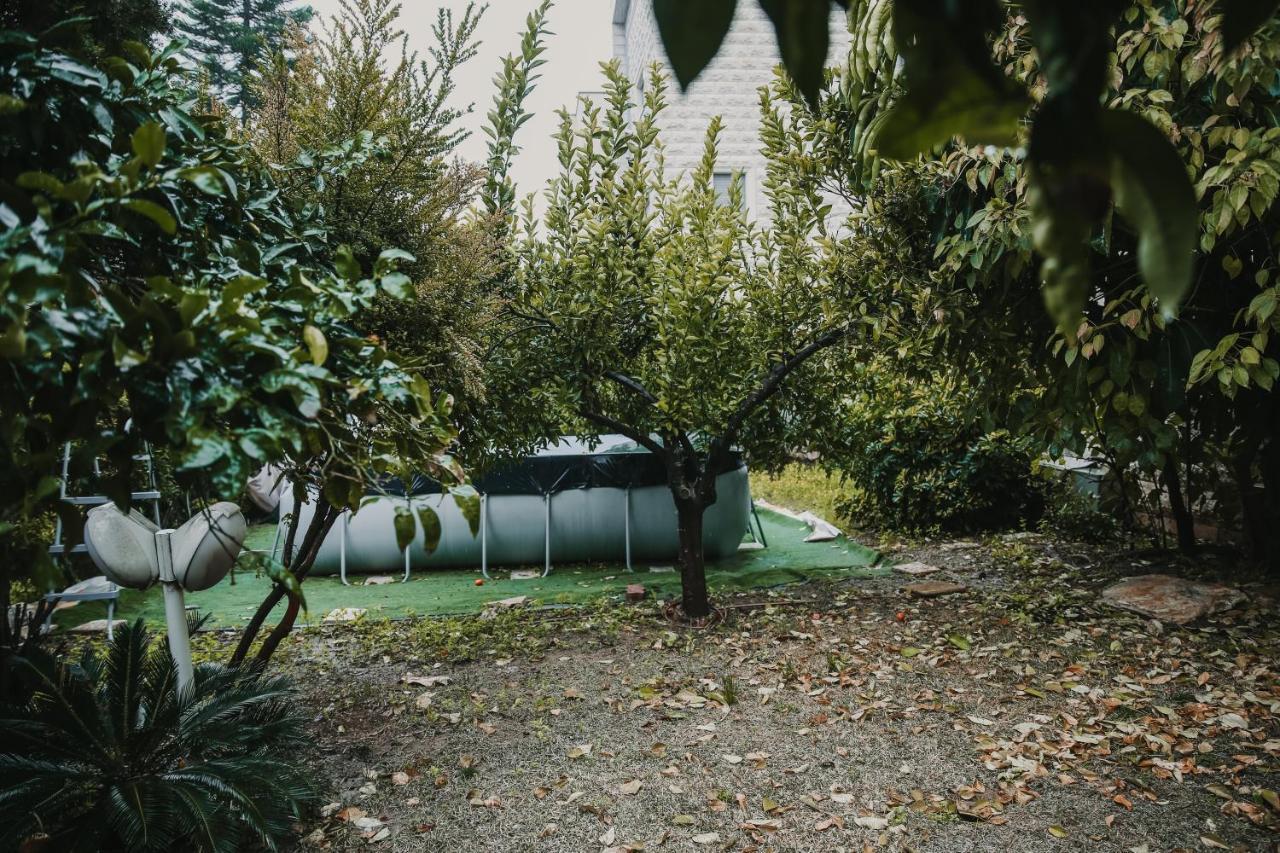 The Garden Apartment Nazareth Exterior photo